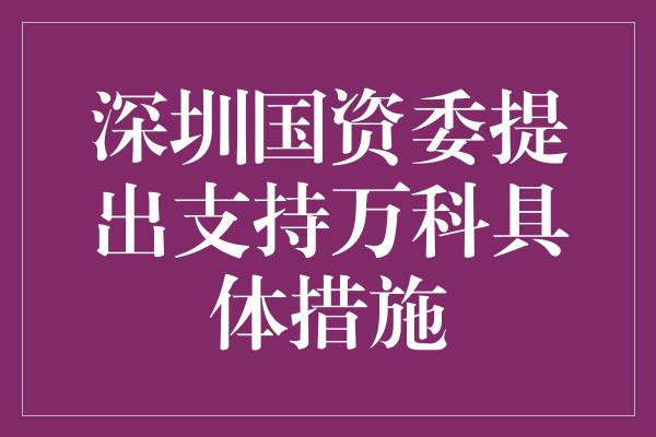 深圳国资委提出支持万科具体措施