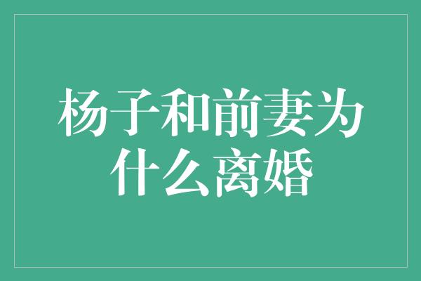 杨子和前妻为什么离婚