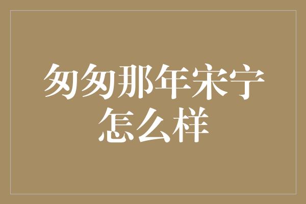 匆匆那年宋宁怎么样