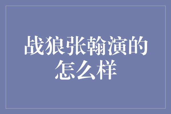 战狼张翰演的怎么样