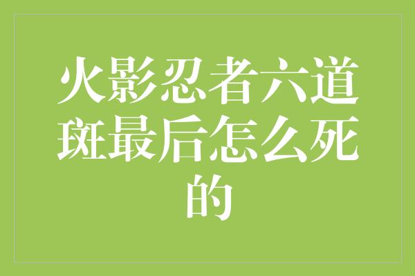 火影忍者六道斑最后怎么死的