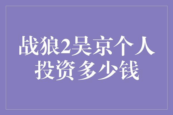 战狼2吴京个人投资多少钱