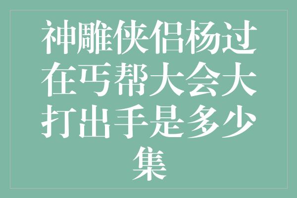 神雕侠侣杨过在丐帮大会大打出手是多少集