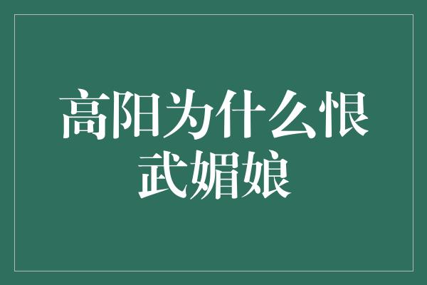 高阳为什么恨武媚娘