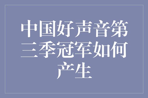 中国好声音第三季冠军如何产生