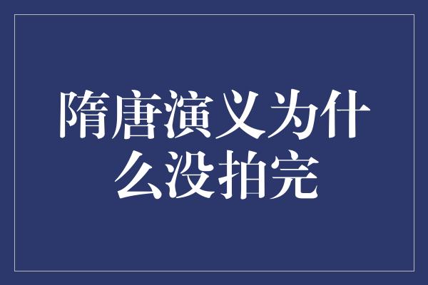 隋唐演义为什么没拍完