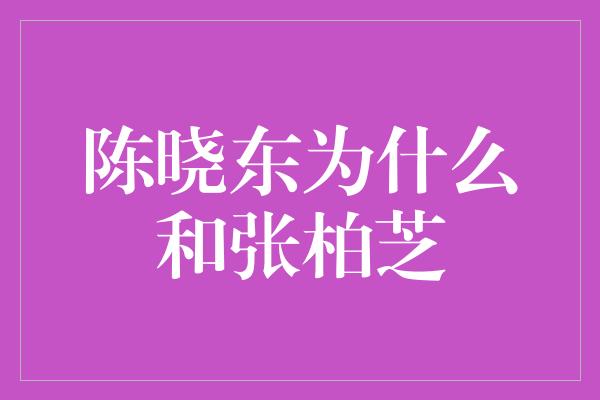 陈晓东为什么和张柏芝