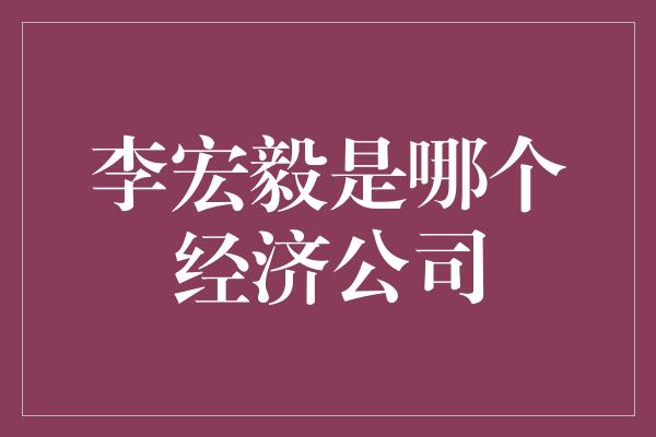 李宏毅是哪个经济公司