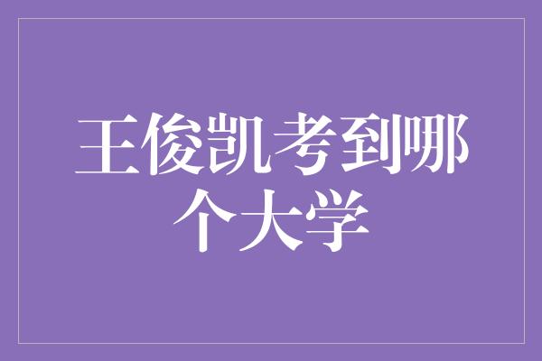 王俊凯考到哪个大学