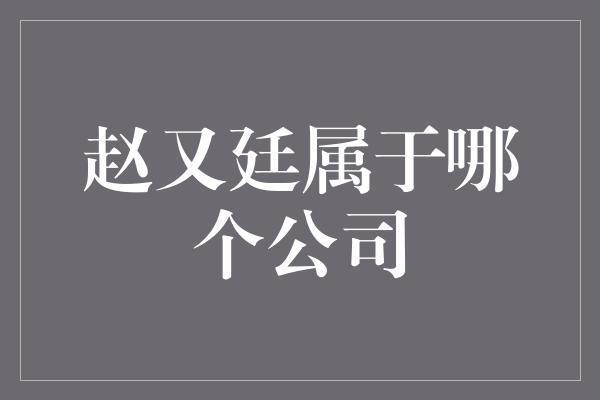 赵又廷属于哪个公司