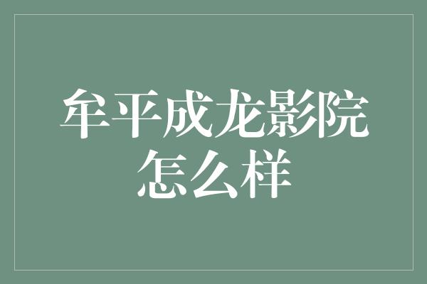 牟平成龙影院怎么样