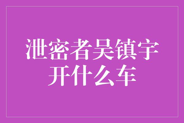 泄密者吴镇宇开什么车