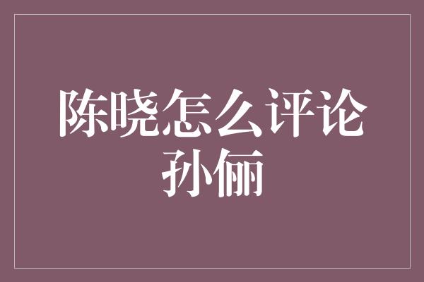 陈晓怎么评论孙俪