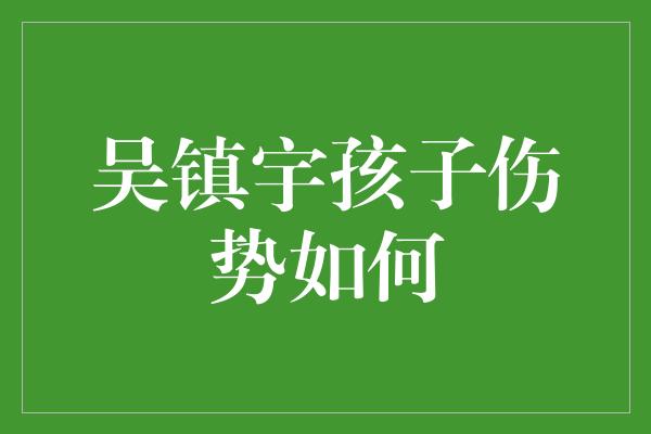 吴镇宇孩子伤势如何