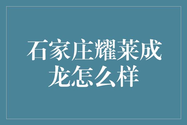 石家庄耀莱成龙怎么样