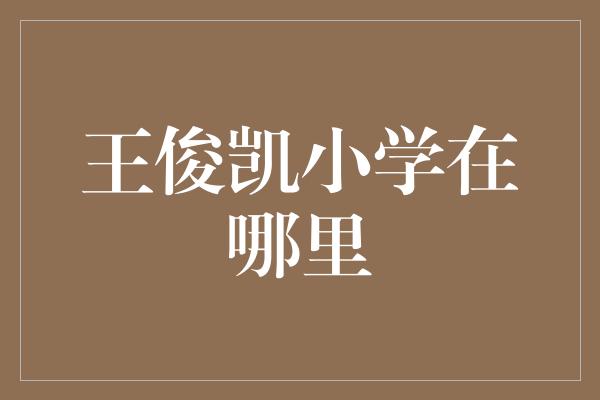 王俊凯小学在哪里